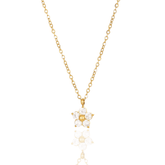 Colar Dourado Flor Estrelada de Zircônia em Aço Inoxidável - Ravelle Luxe